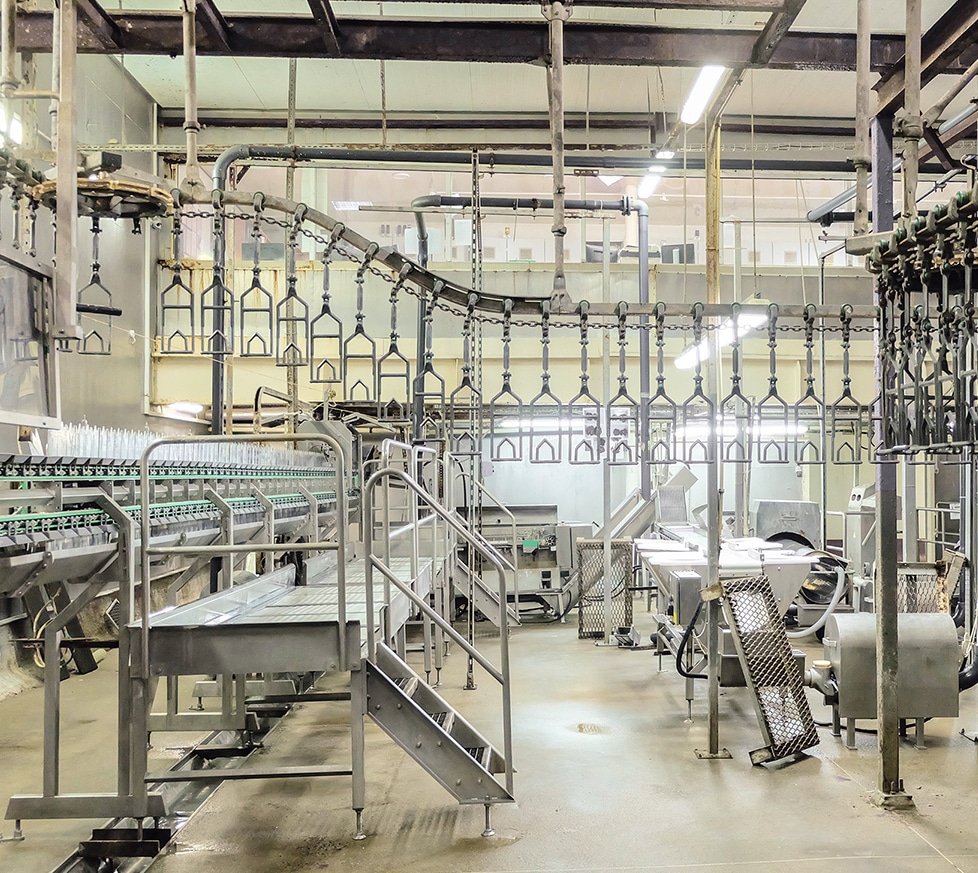 clean, empty poultry processing plant equipment