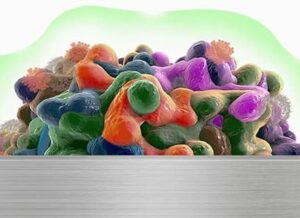 biofilm illustration
