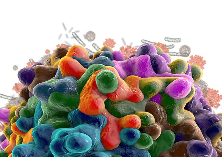 illustrations of biofilm organisms