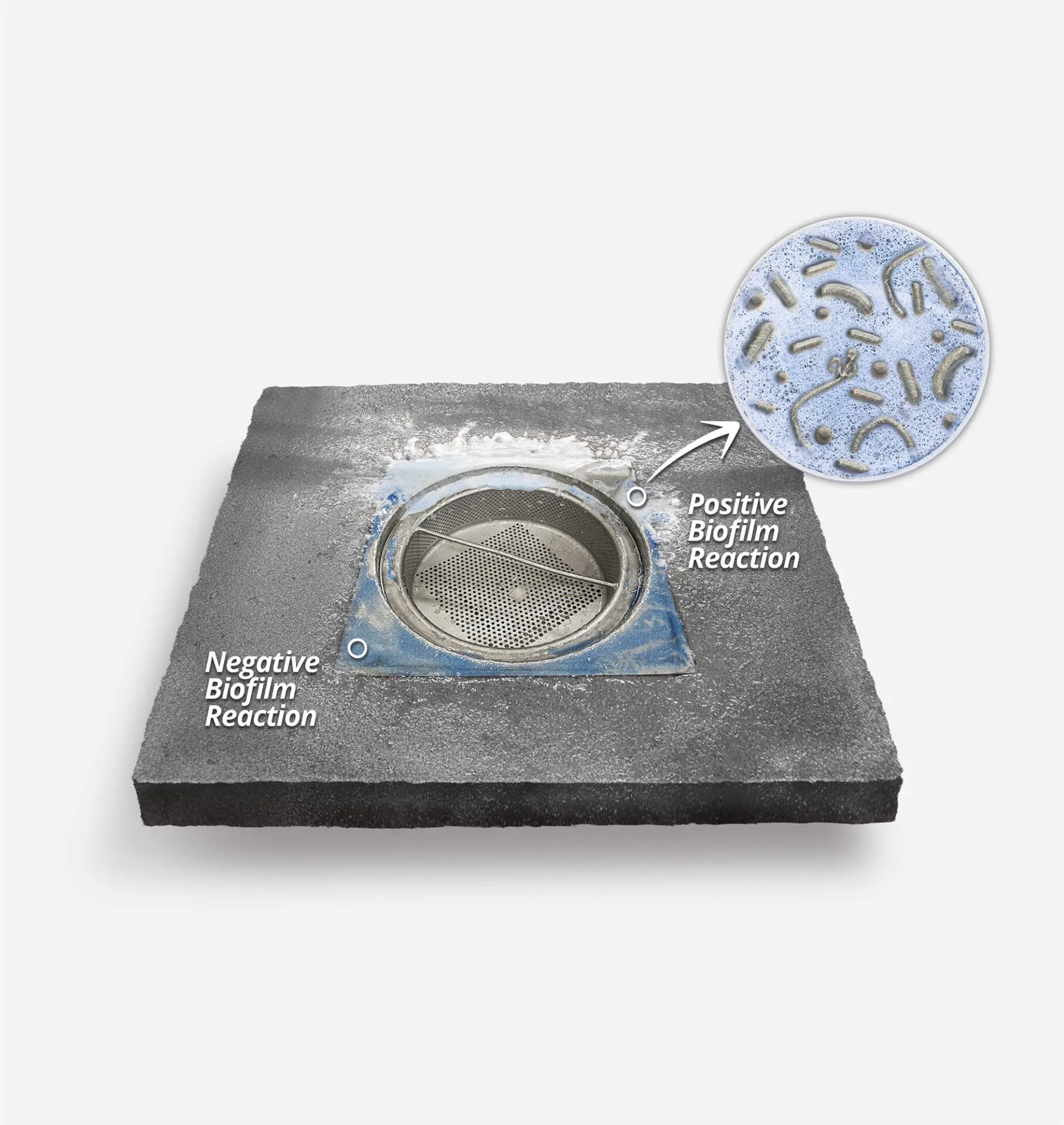 Indicon Gel Drain Diagram showing location of Negative and positive biofilm reactions