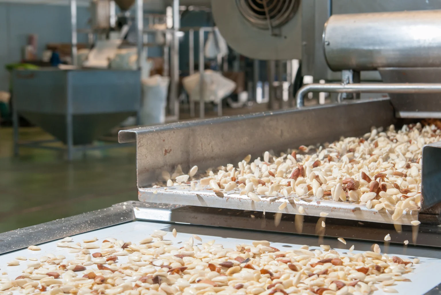 almonds on factory conveyor