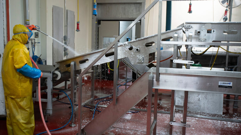 man spraying food conveyor with foam