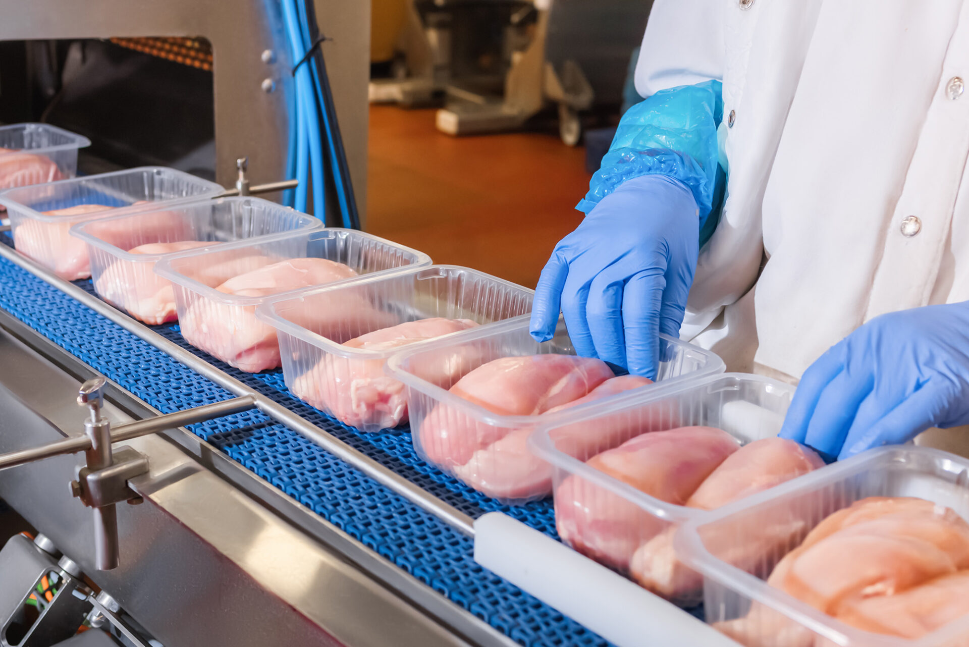poultry processing plant worker wearing sanitized equipment