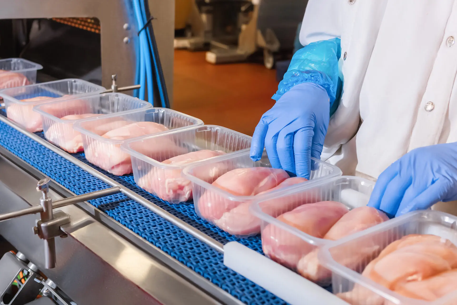 poultry processing plant worker wearing sanitized equipment